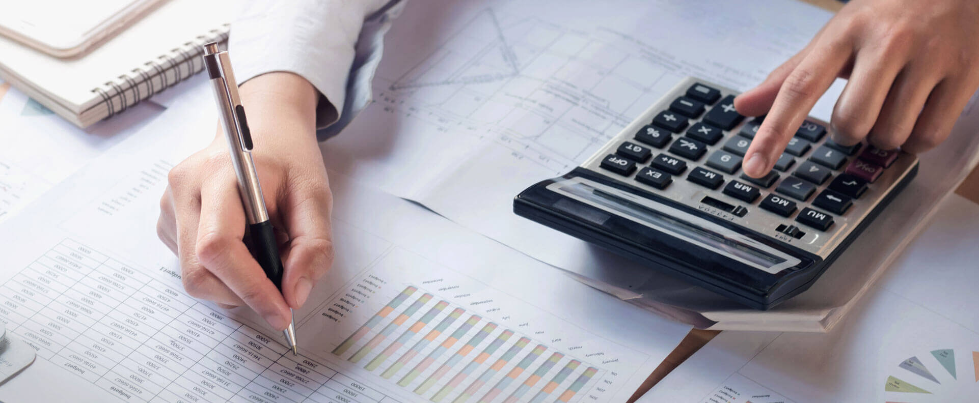 Financial Advisor